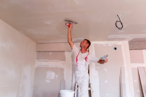 Best Residential Painting  in Wrens, GA